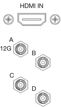 Diagram of Video Capture HDMI and BNC connections on rear of a EX 2C