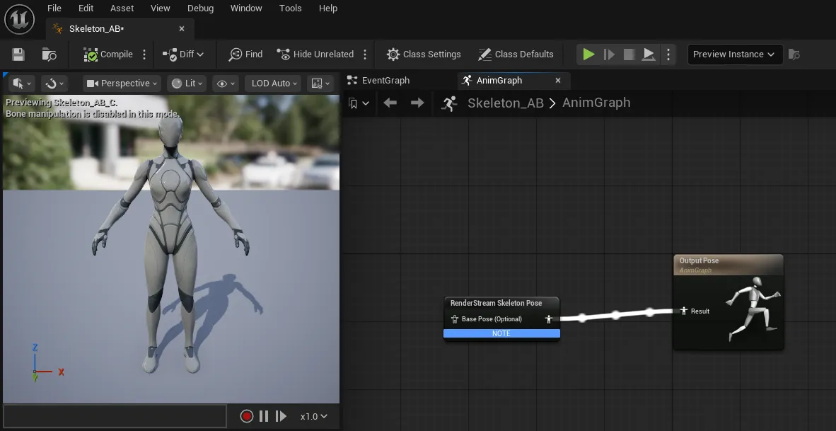 Setting up the Anim Graph